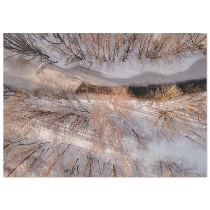 d30ec616-bf59-403b-8286-015b49e42e13