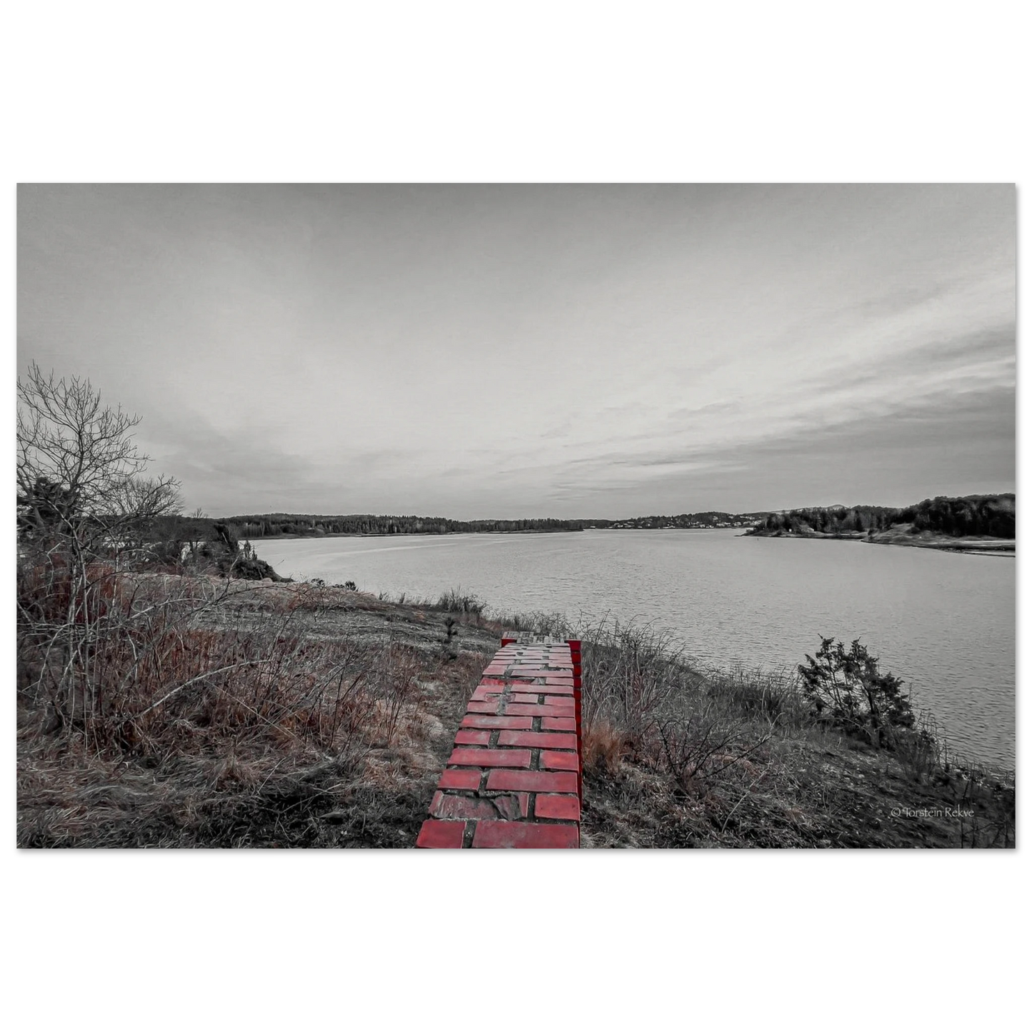 d346efa4-f63f-42e9-bd81-c3382f12eaaf