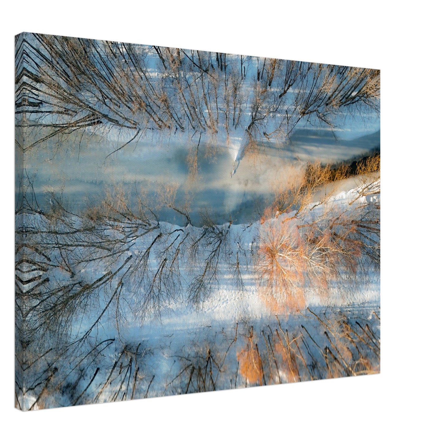 d4813d4f-ee05-4518-8902-0725cff81685