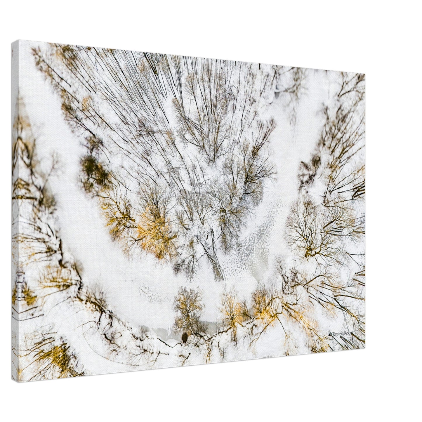 d4e3f2fc-3c56-4902-9d47-8bfec4b7b7d2