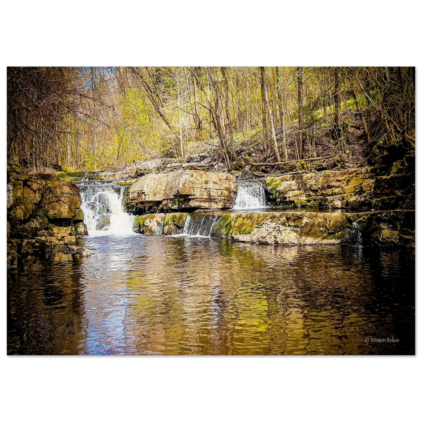 d59532f5-1b6a-4403-b156-cc5cbc79584b