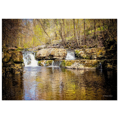 d59532f5-1b6a-4403-b156-cc5cbc79584b