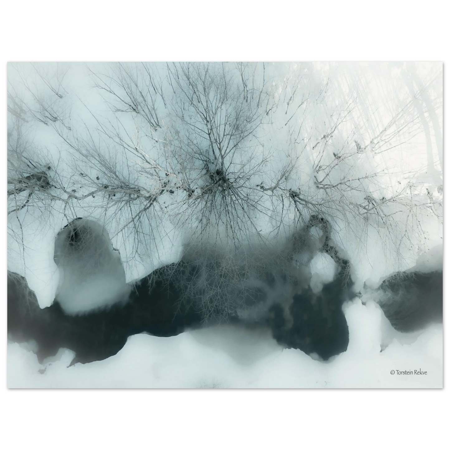 d5d8b629-552a-43ca-b0cc-6b1de32e9842