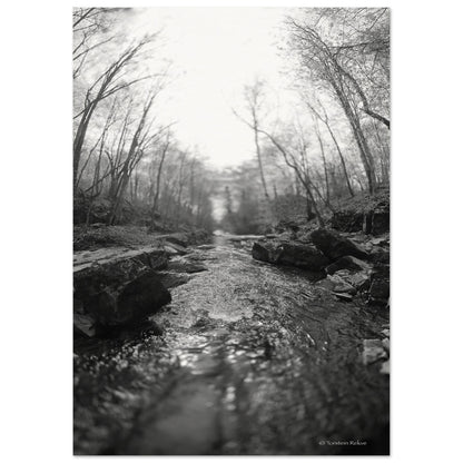 d64d8ce9-694b-41ca-b384-9ee6f792fc94