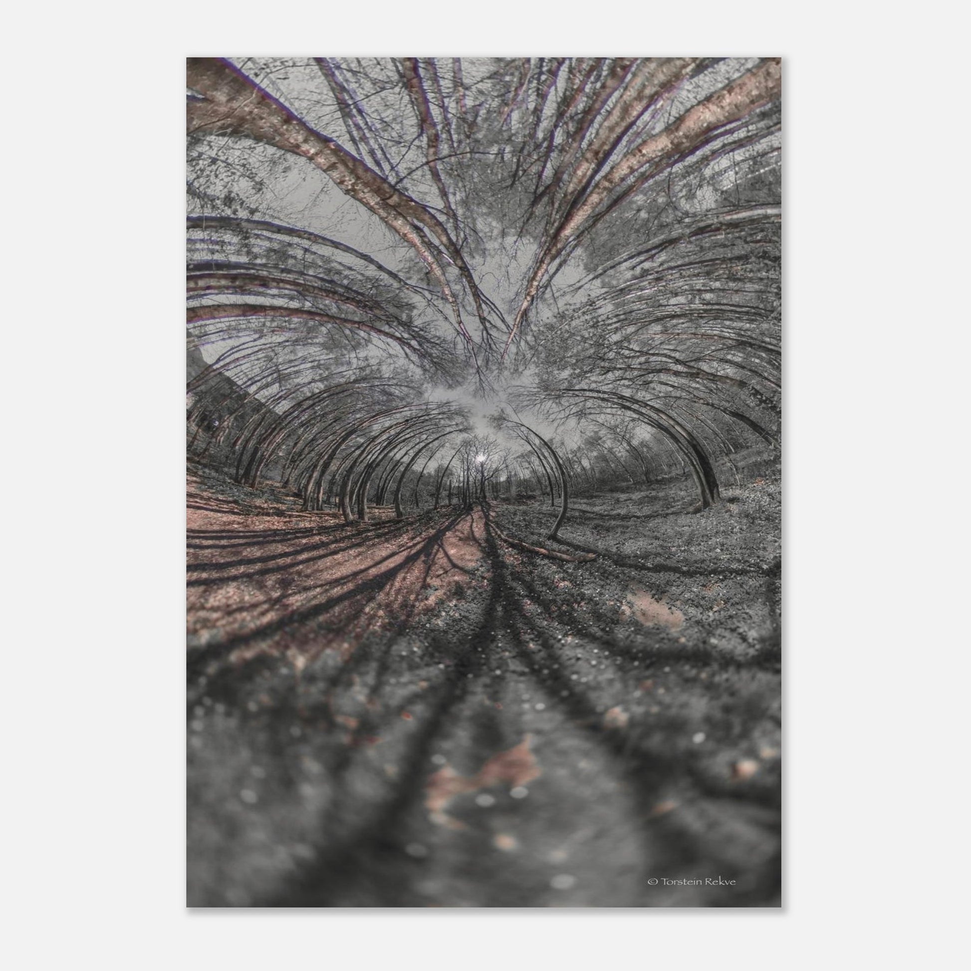 d6f42c2e-51d6-45dd-b718-78bfefd10c23