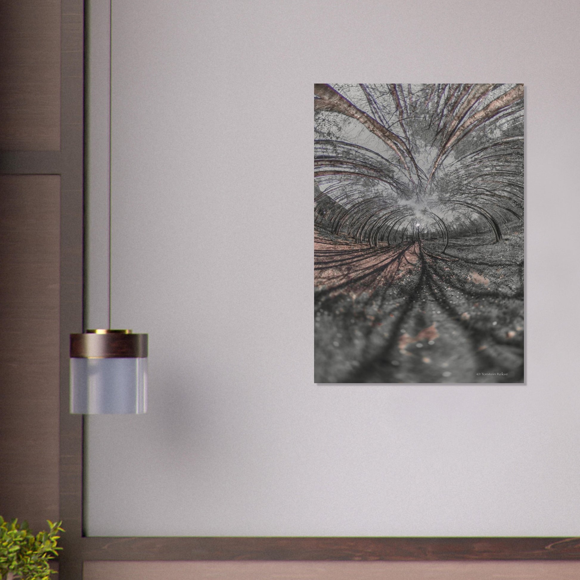 d8a7cfdc-5f82-46ff-bbcb-a2f88c2d4db7