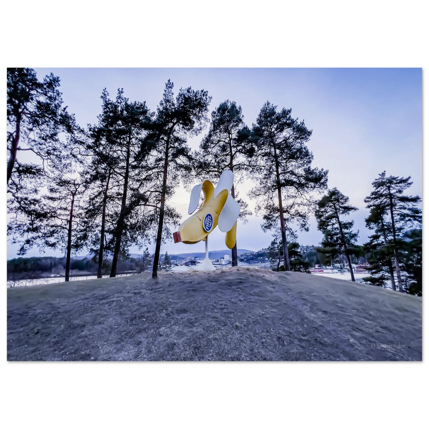 d8b1edd9-d7ad-450a-bdea-4052a1d946e0