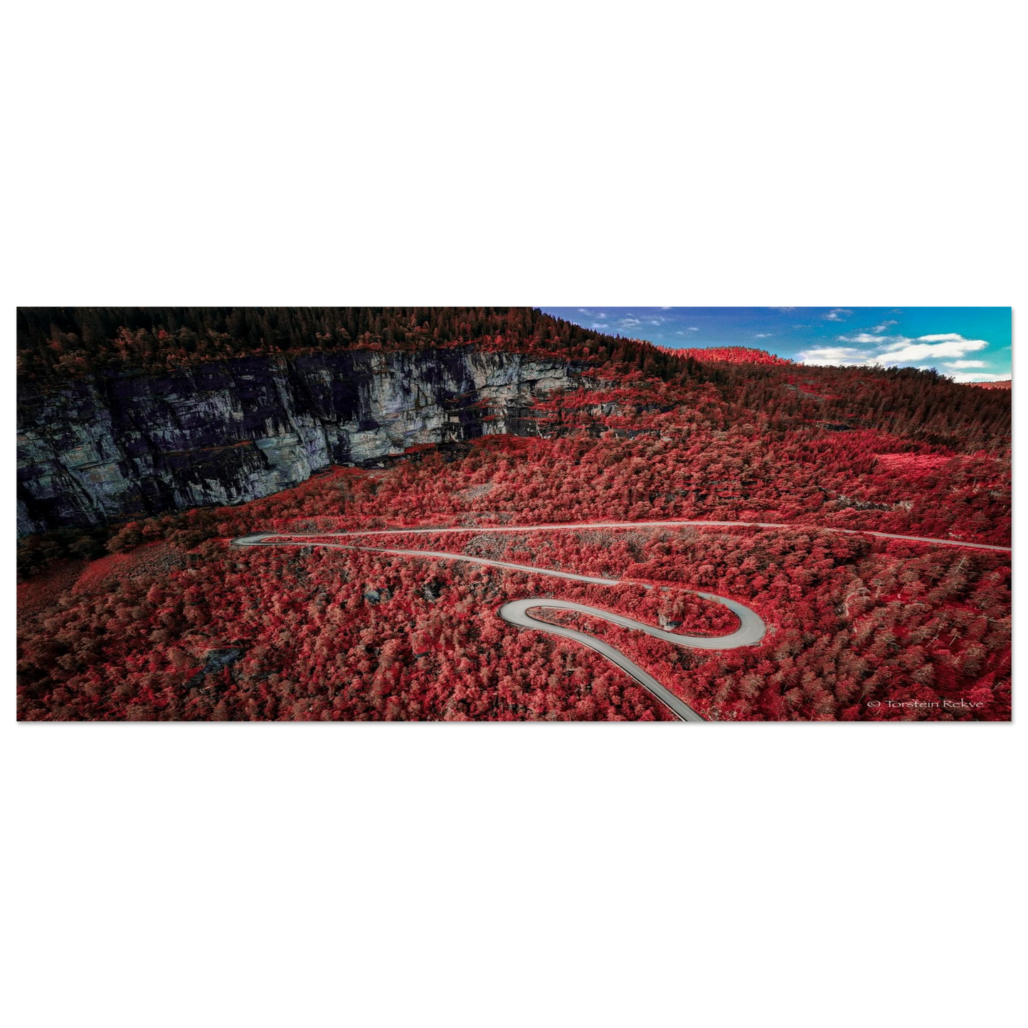 d9102932-4a61-40da-a9f3-58363985671d