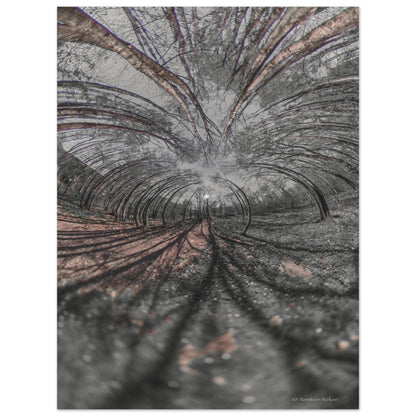 d979098c-3114-4627-b542-13842fb3f914