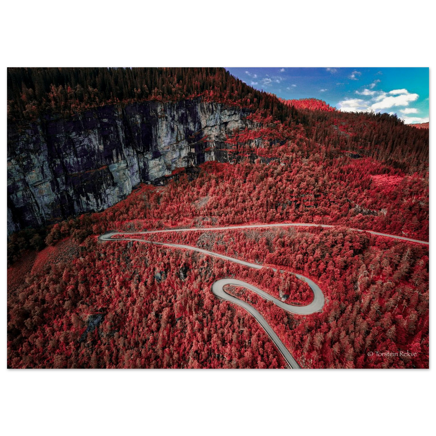 d9d29262-d783-4f0f-a93e-9f66ddd42ee2