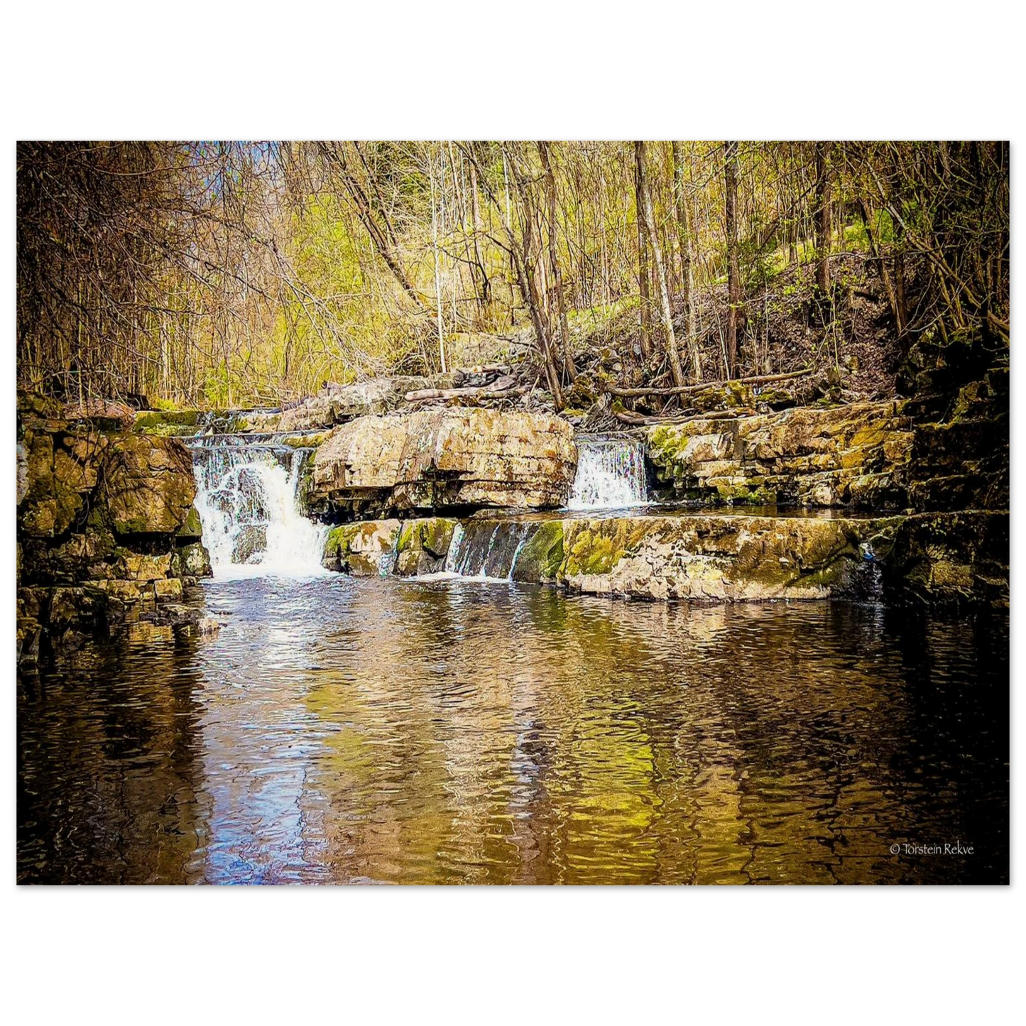 de65da85-6bd8-4ebf-acdc-3972d9e5c1df