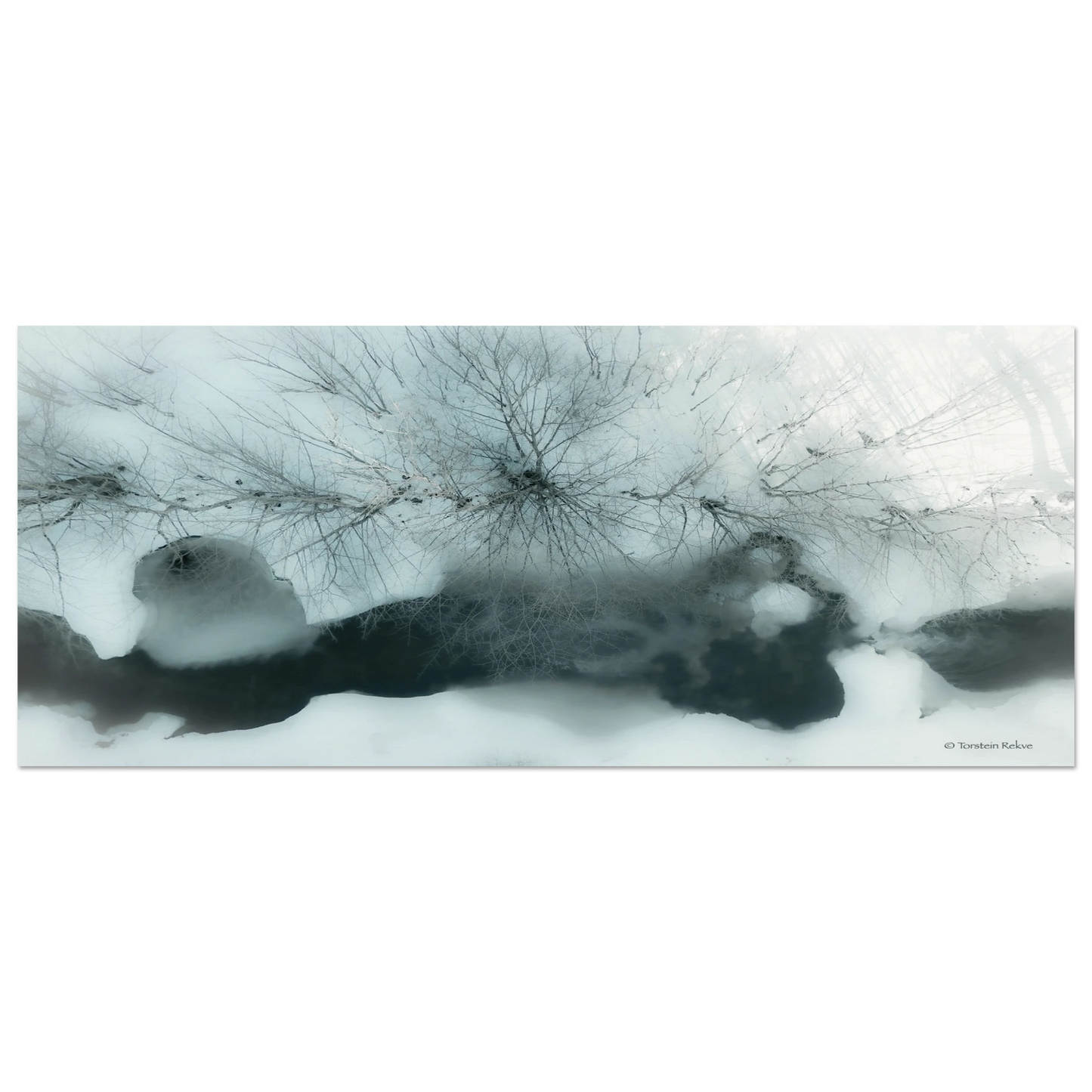 e2025d23-2ce2-445d-9a4f-5221af354303