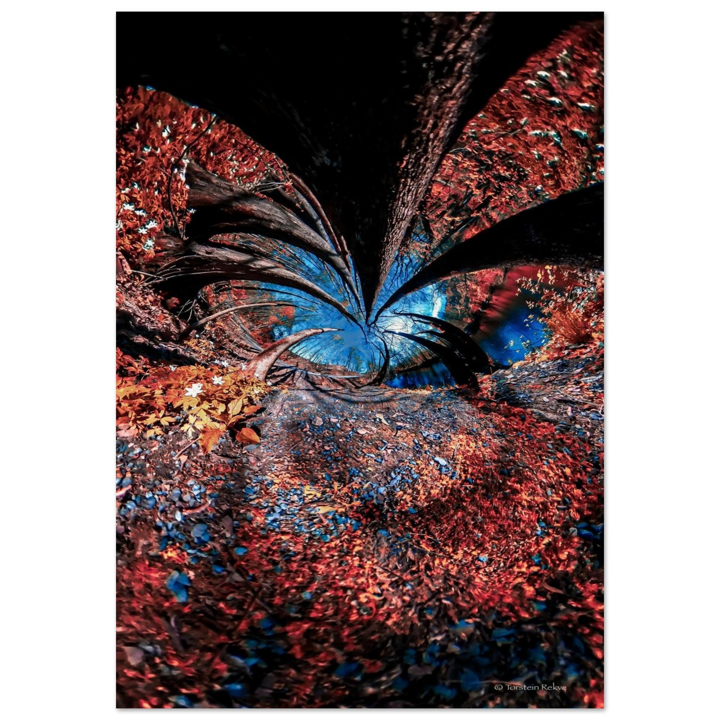 e480db18-47a9-4f65-aa0e-2b60aa906a88