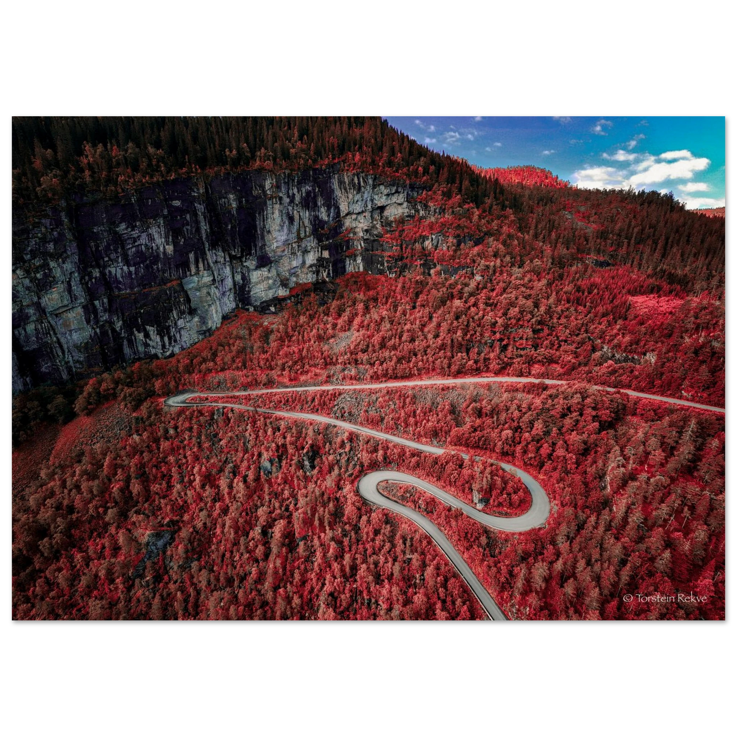 e53fbabb-fa55-4c38-beda-66a3dcbb733f