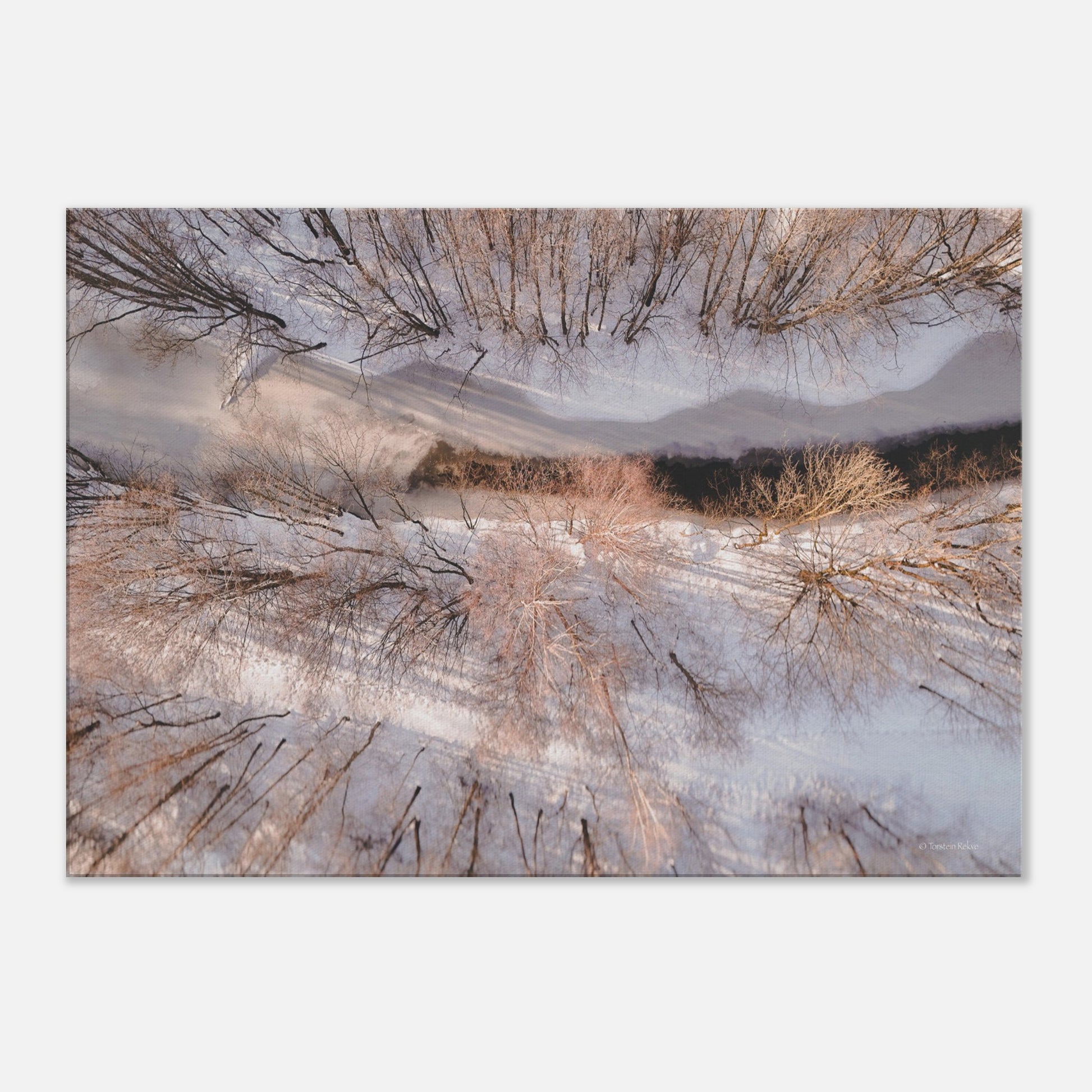 e693dbda-088e-49f3-8eae-16c217622133