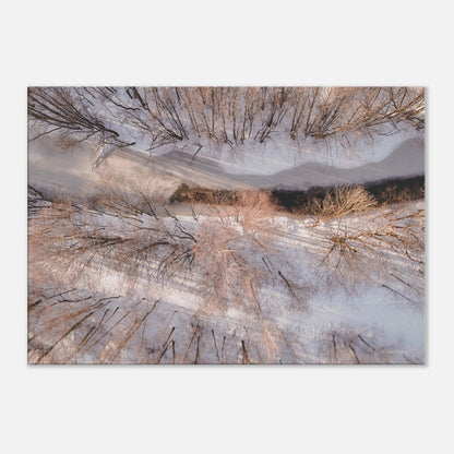 e693dbda-088e-49f3-8eae-16c217622133