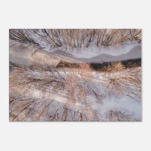 e693dbda-088e-49f3-8eae-16c217622133