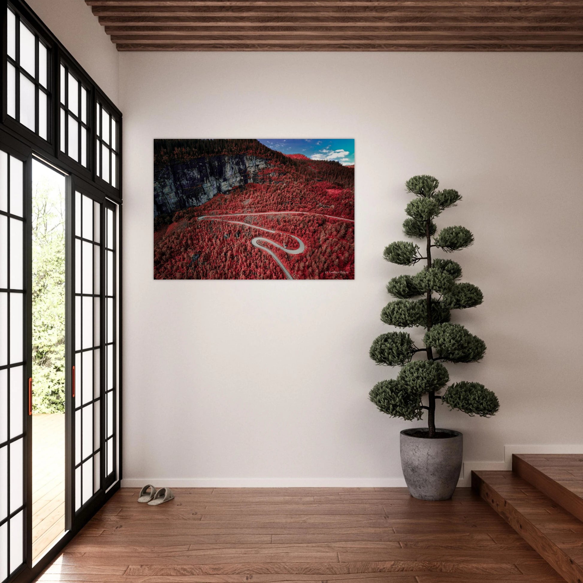 e6a19861-31dd-41c5-8c88-c88ea5ba7cc4