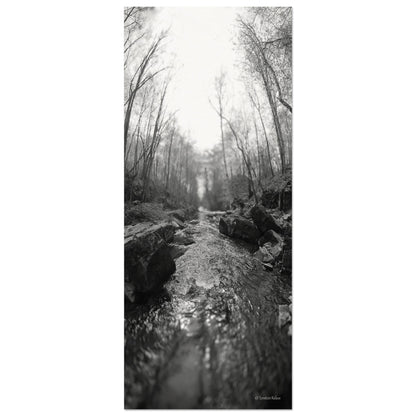 e7d1682c-5f1e-4d44-a5e2-9bb2971cf23c