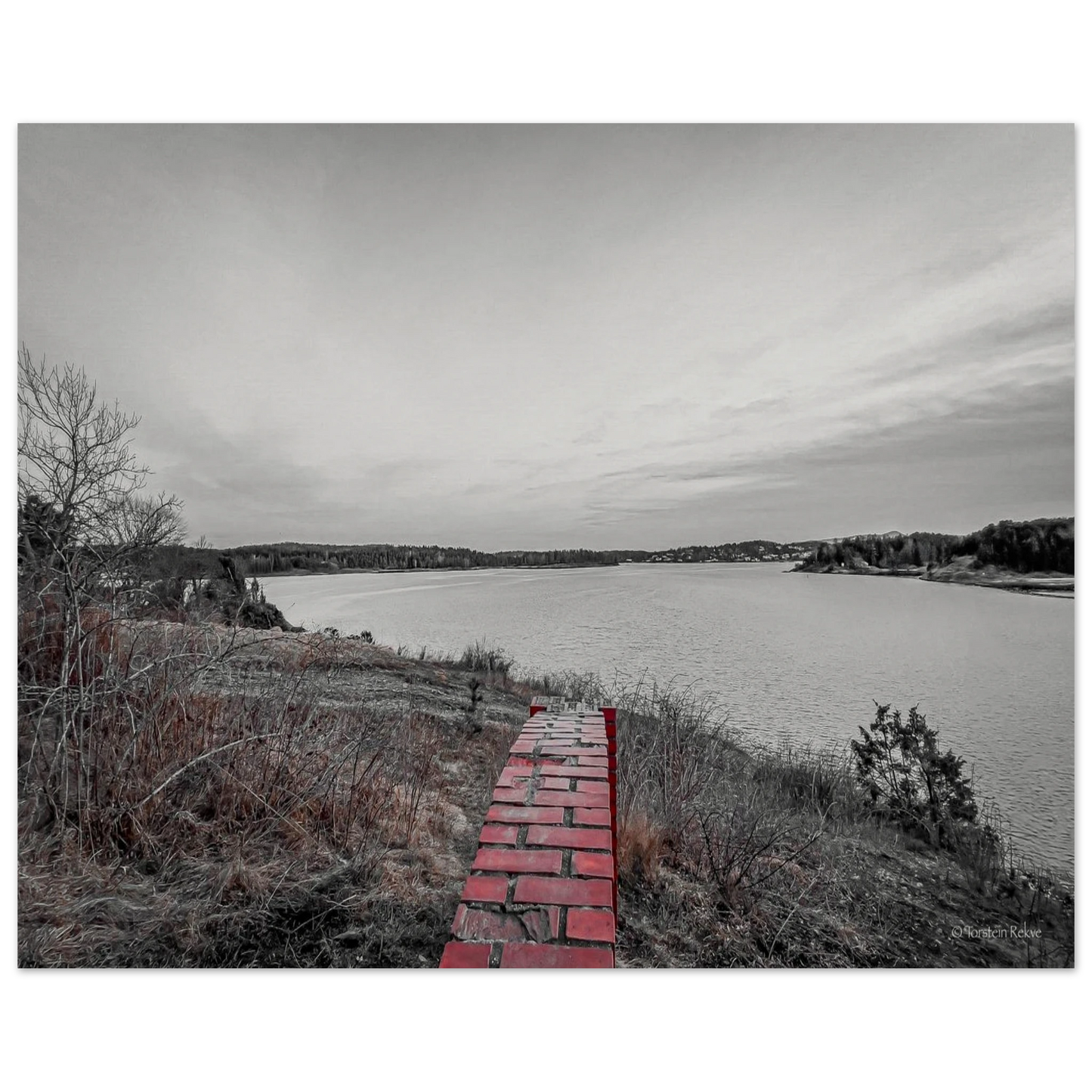 e83346df-8326-45bc-b54c-506f7afad4a4