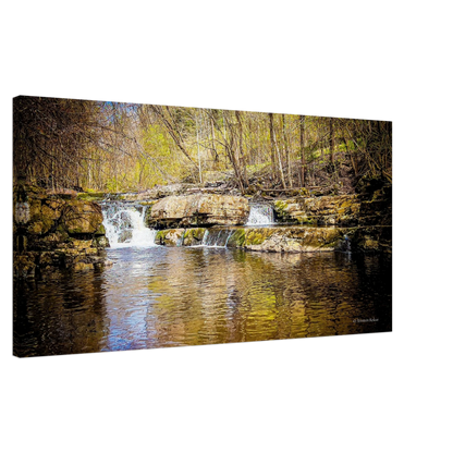 ea1c6a6f-94d2-445e-80d4-d4e4d4923d38