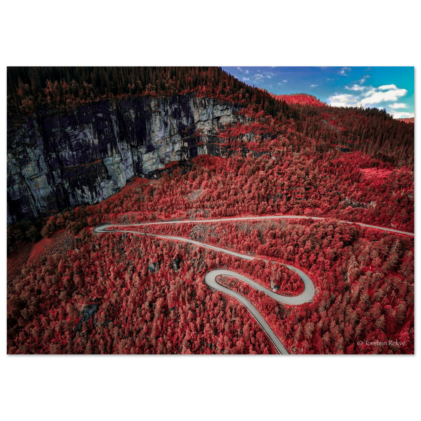 ecf9569c-e527-4ddd-970a-4319f61f6866