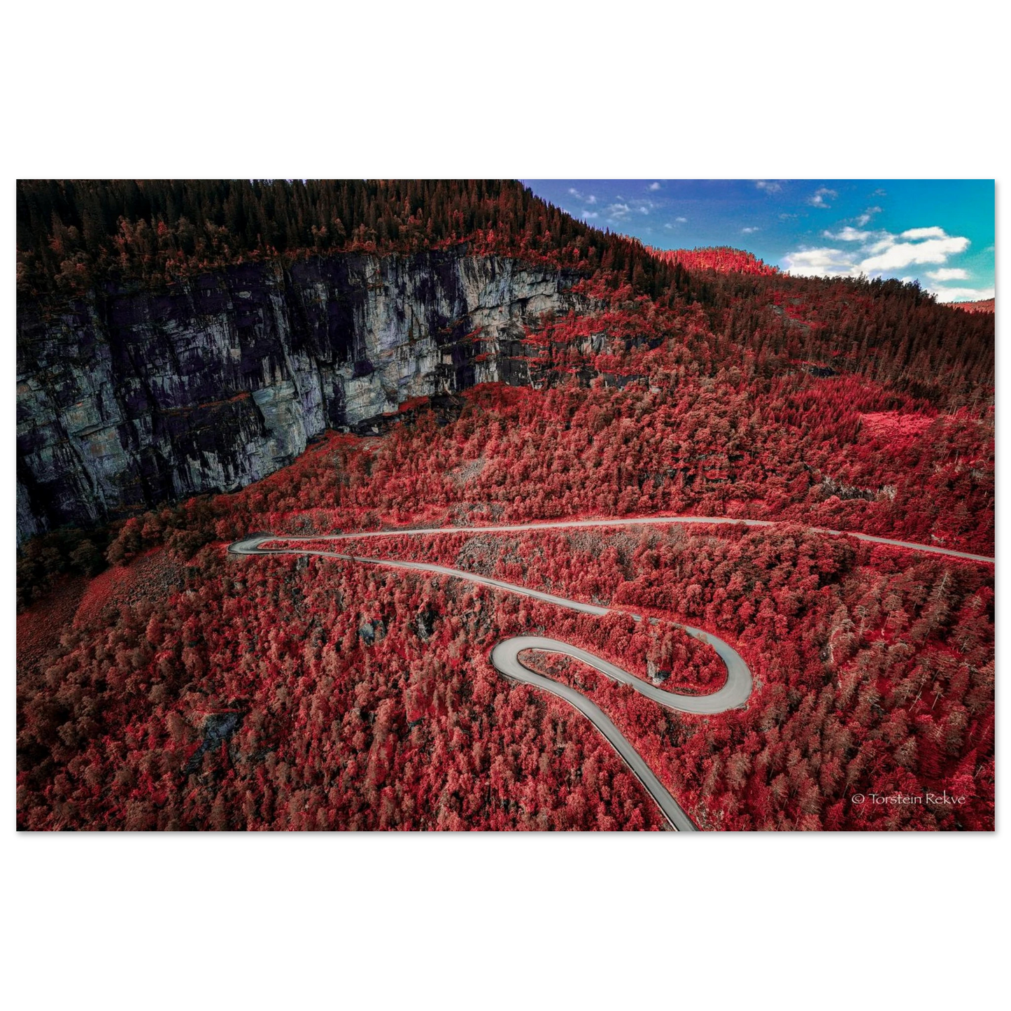 eea6c978-ded2-4a35-8804-d3ef40ba950a