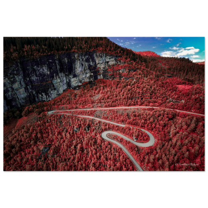 eea6c978-ded2-4a35-8804-d3ef40ba950a