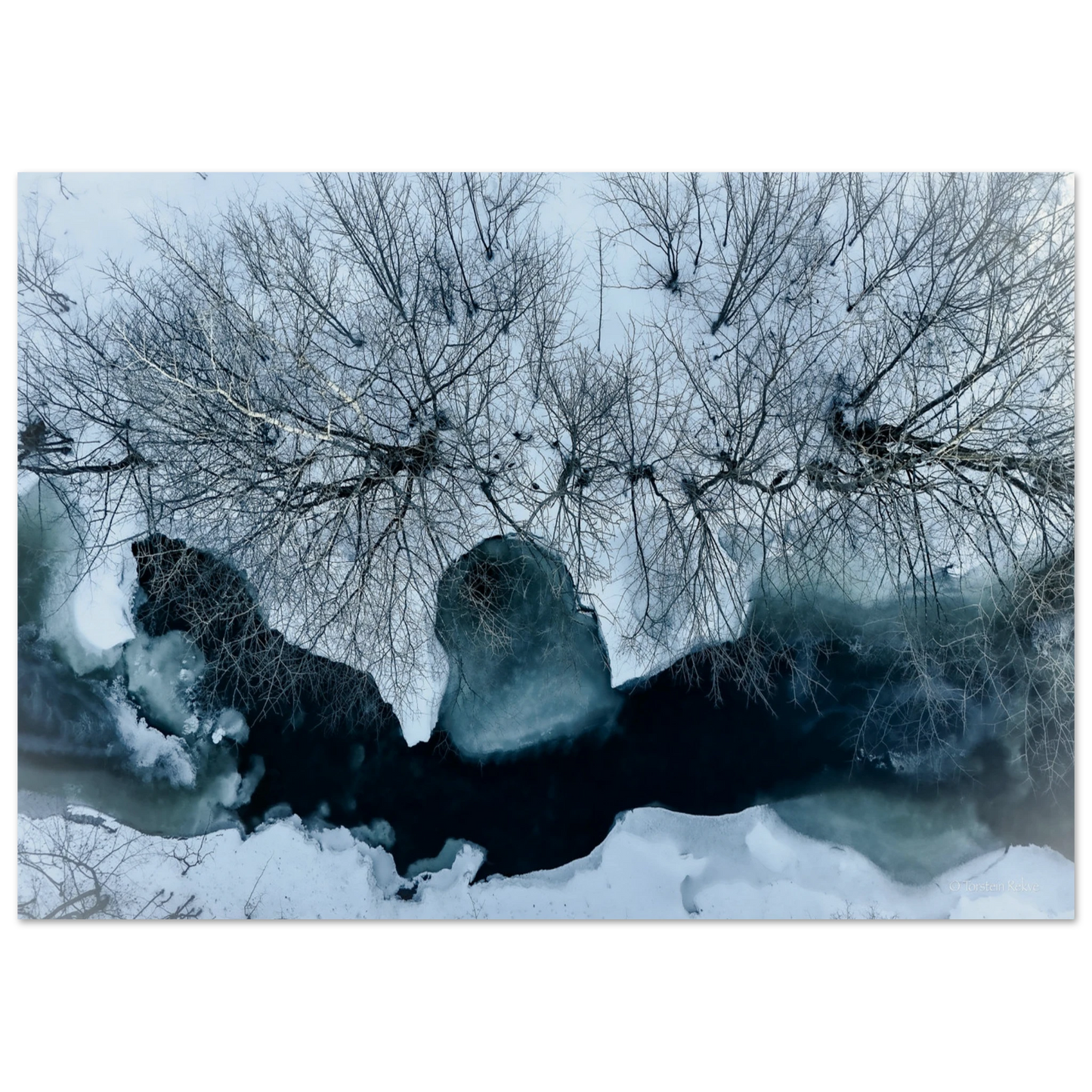 f14acea3-9d88-44bd-bffc-8a5f145f47f3