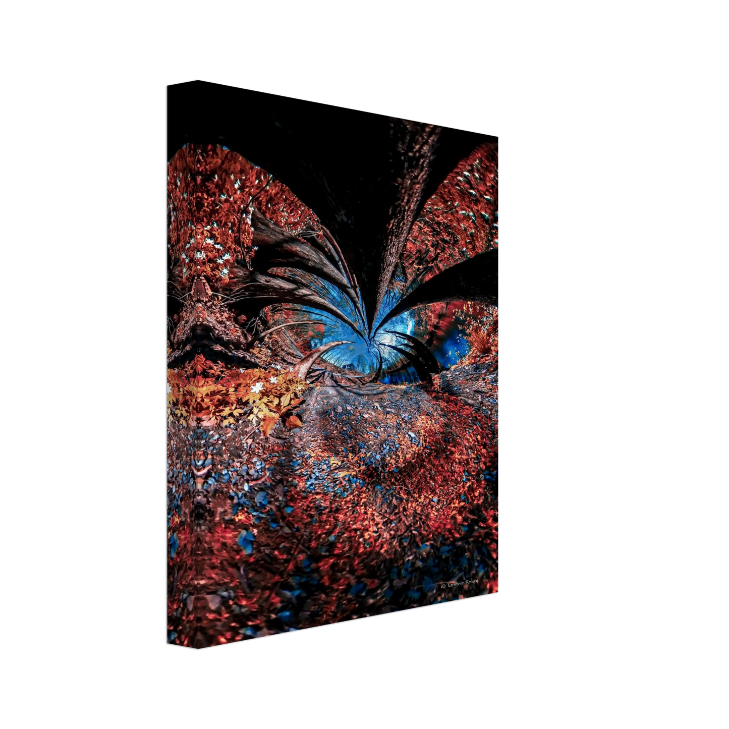 fb93d756-4bb7-4ef8-989e-e56c9e2c2822