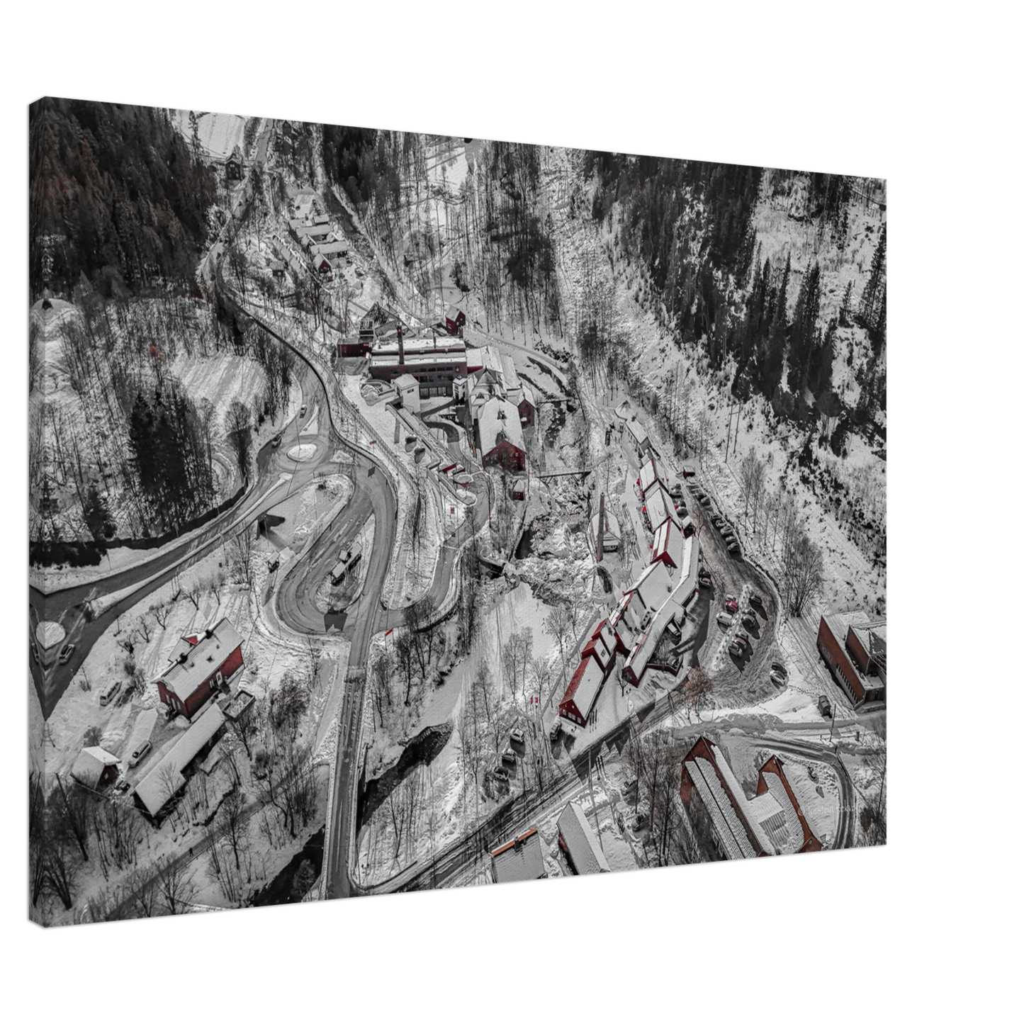 fbe444a6-f66a-4d00-91cd-045001fdb9f5