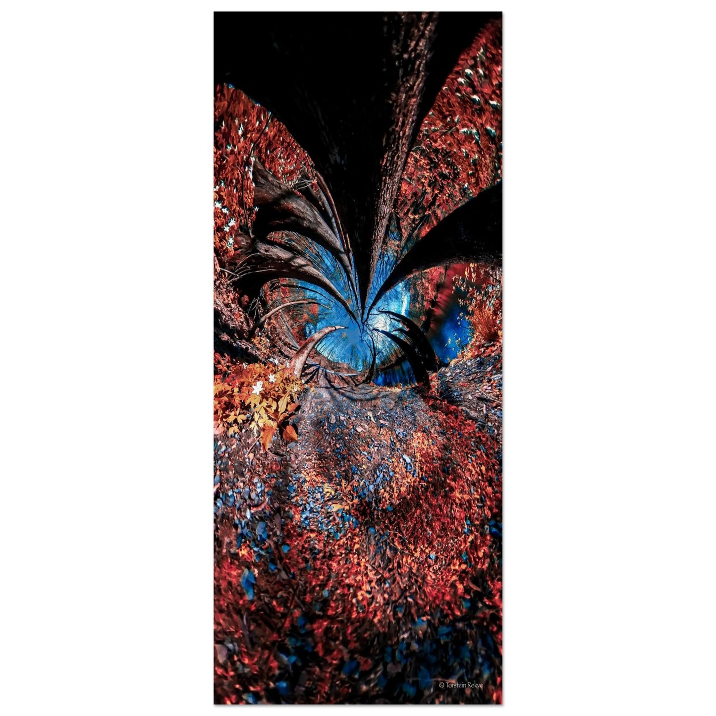 fd5a3401-fb70-4e2e-85bb-eb7c5e7cbac7