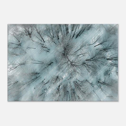 fd63f35b-c8b1-4c9f-ae6d-9e324b1a9ae2