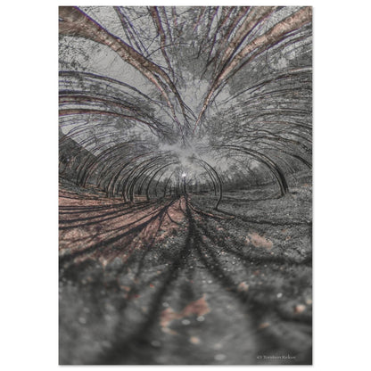 fe67007c-741d-4d56-939c-a9683afde4a3