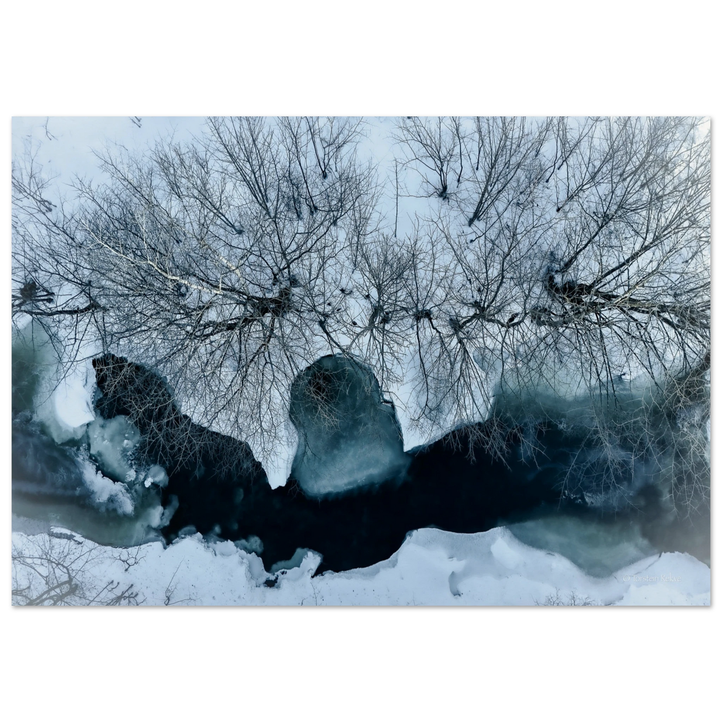 ff164a98-22d2-4c1d-a879-f8d5f56a644c