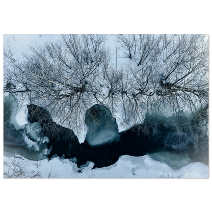 ff164a98-22d2-4c1d-a879-f8d5f56a644c